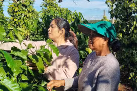 Rmah Minh: Cán bộ trẻ năng động, nhiệt huyết