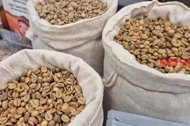 Giá cà phê hôm nay 23-4: Sụp sâu rồi phục hồi mạnh mẽ