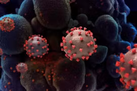 Campuchia kêu gọi tăng cường cảnh giác với biến thể mới gây Covid-19