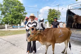 Giảm nghèo bền vững từ những việc làm cụ thể
