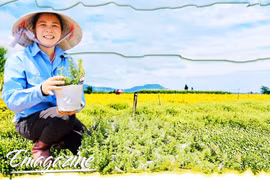 Sản phẩm thảo dược vươn xa trên thị trường