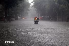 Bão Kalmaegi tăng cấp, hướng về khu vực giữa Biển Đông