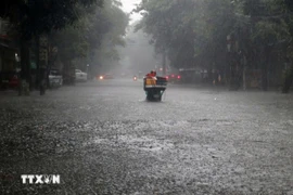 Bão Kalmaegi tăng cấp, hướng về khu vực giữa Biển Đông