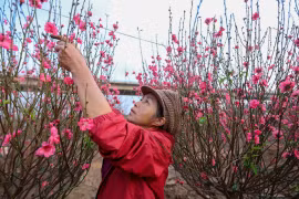 Đề xuất nghỉ Tết Nguyên đán 2026 kéo dài 9 ngày