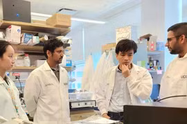 Nhà khoa học người Việt phát minh công nghệ mới giúp chữa lành thoái hóa khớp gối không cần phẫu thuật