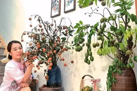 Không ngờ cắm trái cây cũng 'viral', cô giáo Phú Thọ gây sốt mạng xã hội