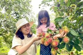 Khi sản xuất nông nghiệp trở thành trải nghiệm du lịch