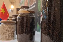 Giá tiêu hôm nay 14-4: Đỉnh giá còn ở phía trước?