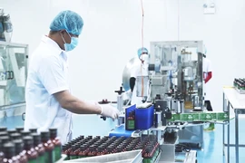 Hành trình bền bỉ cùng cây dược liệu và truyền lửa khởi nghiệp