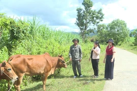 Tín dụng chính sách góp phần đẩy lùi “tín dụng đen”