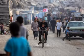 Ai Cập cam kết chung tay chấm dứt chiến sự ở Dải Gaza