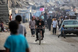 Ai Cập cam kết chung tay chấm dứt chiến sự ở Dải Gaza