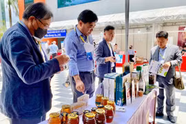 Đăng ký bảo hộ thương hiệu nước ngoài: Đừng để “mất bò mới lo làm chuồng”