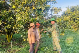 Chung mục tiêu vì đời sống hội viên cựu chiến binh