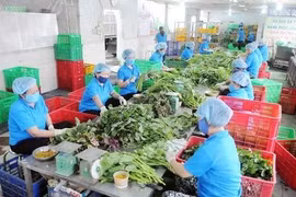 Tăng mức răn đe với vi phạm an toàn thực phẩm