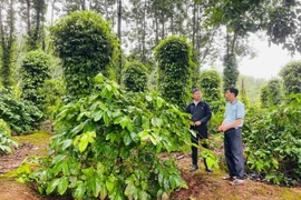 Khai thác tiềm năng, bứt phá toàn diện