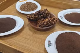 Giá cà phê hôm nay 8-4: Rớt khủng khiếp