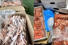 Lâm Đồng: Thu giữ hơn 2,5 tấn thực phẩm đông lạnh không rõ nguồn gốc ở Đà Lạt