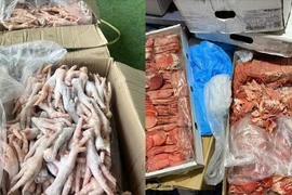 Lâm Đồng: Thu giữ hơn 2,5 tấn thực phẩm đông lạnh không rõ nguồn gốc ở Đà Lạt