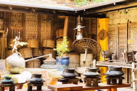 Vườn Mai & một góc ký ức xứ Nẫu