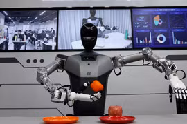 Robot hình người Trung Quốc sẽ không thay thế được con người?