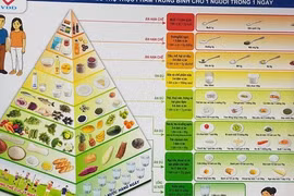 Việt Nam lần đầu có 6 tháp dinh dưỡng theo tuổi