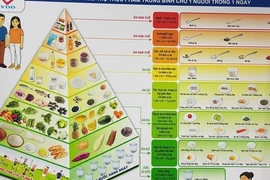 Việt Nam lần đầu có 6 tháp dinh dưỡng theo tuổi