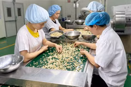 Giải bài toán nguồn nhân lực để tạo đột phá phát triển