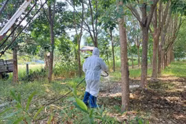 Thái Lan có ca tử vong vì bệnh than đầu tiên trong 30 năm, lo bùng dịch