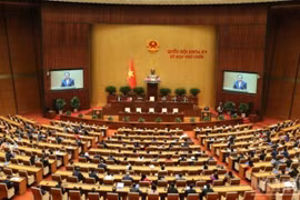 Kỳ họp lịch sử và cú hích thể chế