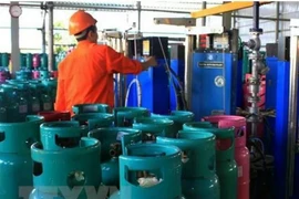 Giá gas trong nước giảm ở phiên điều chỉnh đầu năm.