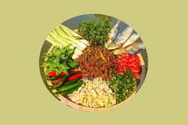 Biến tấu cùng muối chấm