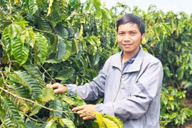 Trưởng thôn “2 giỏi”