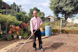 Vươn lên làm giàu nhờ đổi mới sản xuất