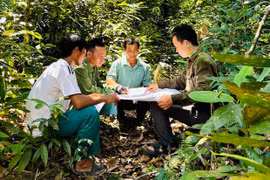 Lợi ích kép từ việc giao khoán rừng cho dân