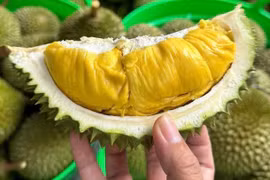 Thủ tướng Chính phủ yêu cầu ưu tiên thông quan nhanh nhất đối với nông sản tươi xuất khẩu