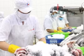 5 khoản tiền người lao động được nhận khi nghỉ việc từ năm 2025