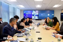 Thúc đẩy hợp tác về bán dẫn và trí tuệ nhân tạo giữa Việt Nam-Mỹ