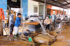 Doanh nghiệp nỗ lực gượng dậy sau bão lũ