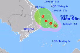 Áp thấp nhiệt đới cấp 6, giật cấp 8 hướng vào vùng biển miền Trung