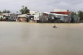 Bình Định: Mưa lớn bất thường, nước sông Kôn dâng cao, hạ du ngập cục bộ