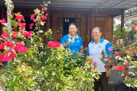 Học và làm theo Bác gắn với các phong trào thi đua yêu nước