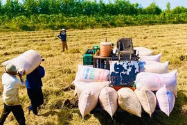 Xuất khẩu nông sản: Thoát khỏi vòng luẩn quẩn