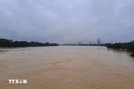 Ngày 29/10: Huế và Đà Nẵng tiếp tục mưa to, lũ nhiều sông vẫn trên báo động 3