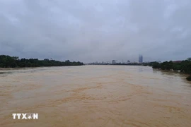 Ngày 29/10: Huế và Đà Nẵng tiếp tục mưa to, lũ nhiều sông vẫn trên báo động 3
