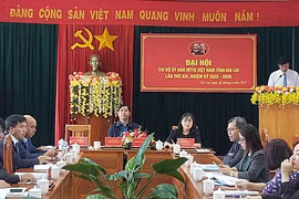 Đại hội Chi bộ Ủy ban MTTQ Việt Nam tỉnh lần thứ XIII