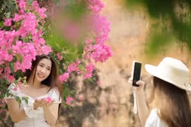 Khánh Hòa: Du khách thích mê đường hoa giấy rực rỡ ở Nha Trang