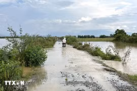 Lâm Đồng: Khẩn trương khắc phục hậu quả do mưa lũ trong kỳ nghỉ lễ