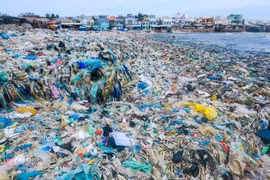 Cần sự vào cuộc mạnh mẽ