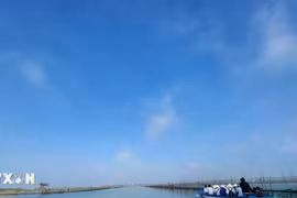 Huế và hành trình đánh thức tiềm năng du lịch xanh đầm phá